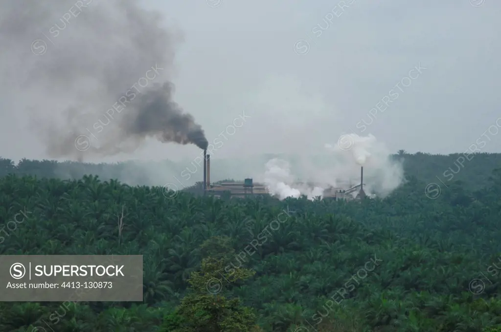 Oil palm mill in middle of oil palm plantation Sabah Borneo