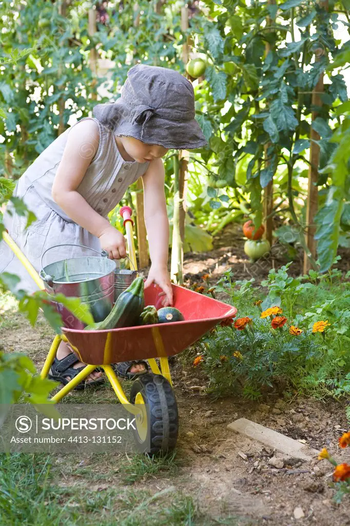 Zucchini girl posing in a small wheelbarrow France