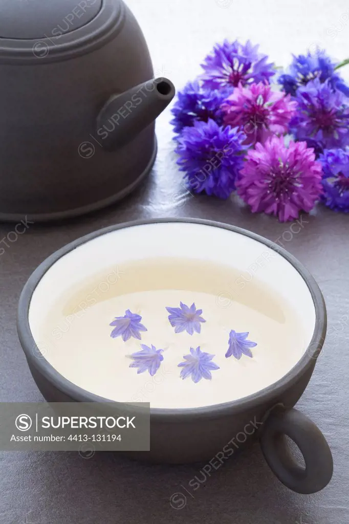 Blueberry tea flowers