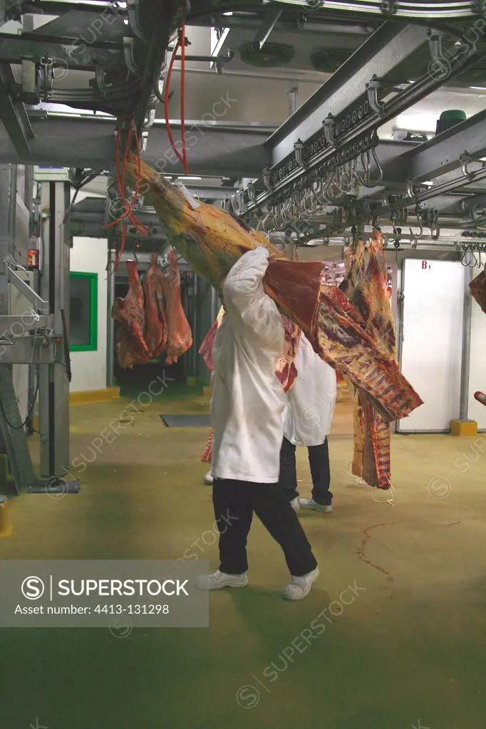 Man carrying a carcass of beefFrance