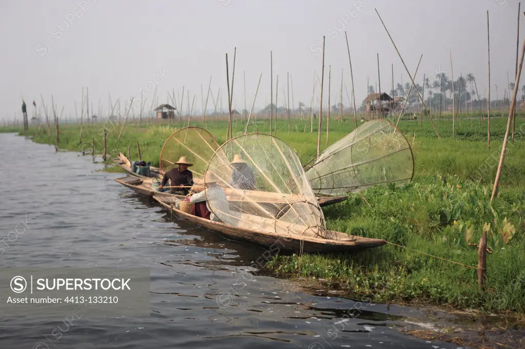 Boat fishing and planting tomatoes on Lake InleBurma