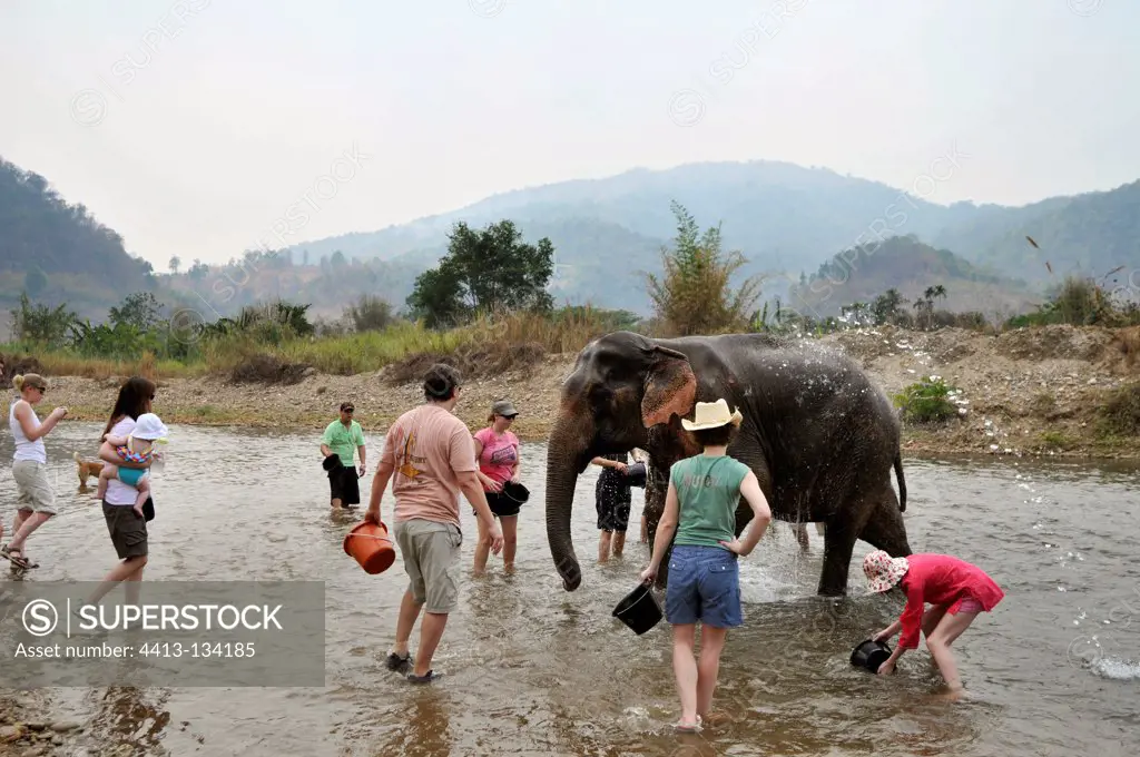 An elephant spraying tourists in Asia in a river Thailand