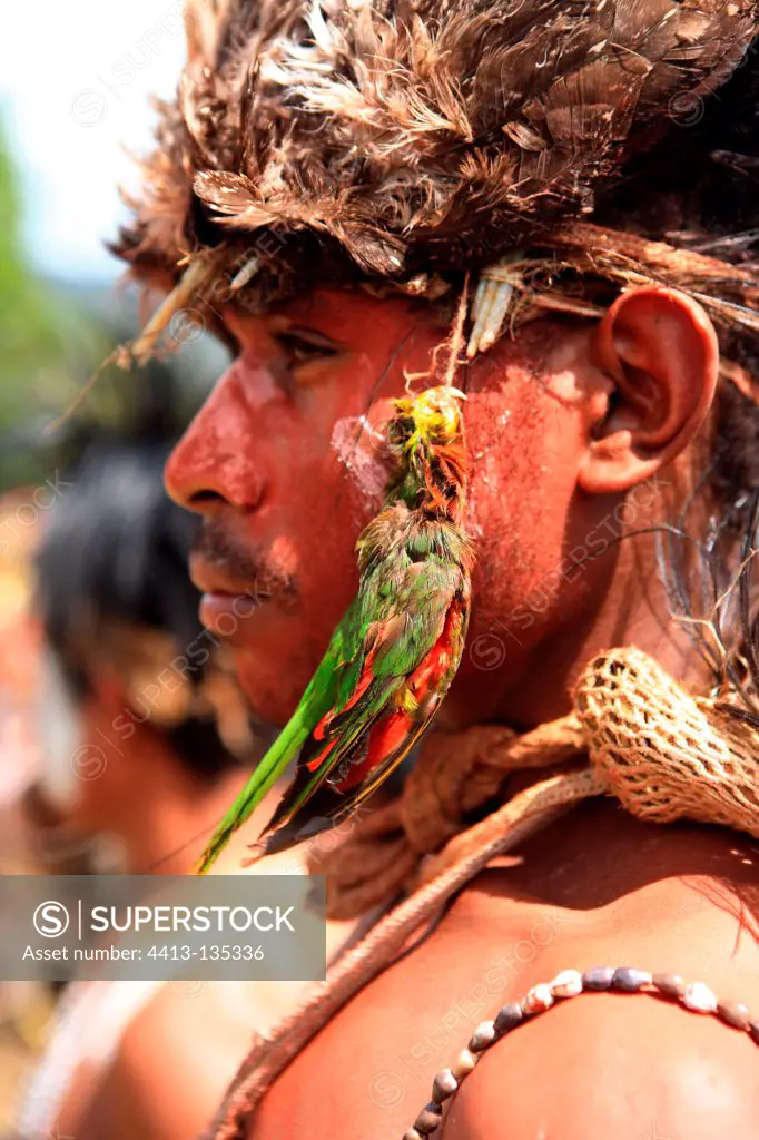 Man with headdress and dead bird Papua New-Guinea