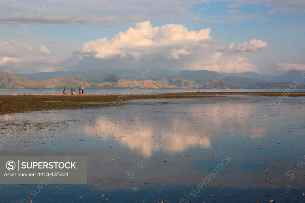 Children at low tide Messah Pulau Flores Indonesia
