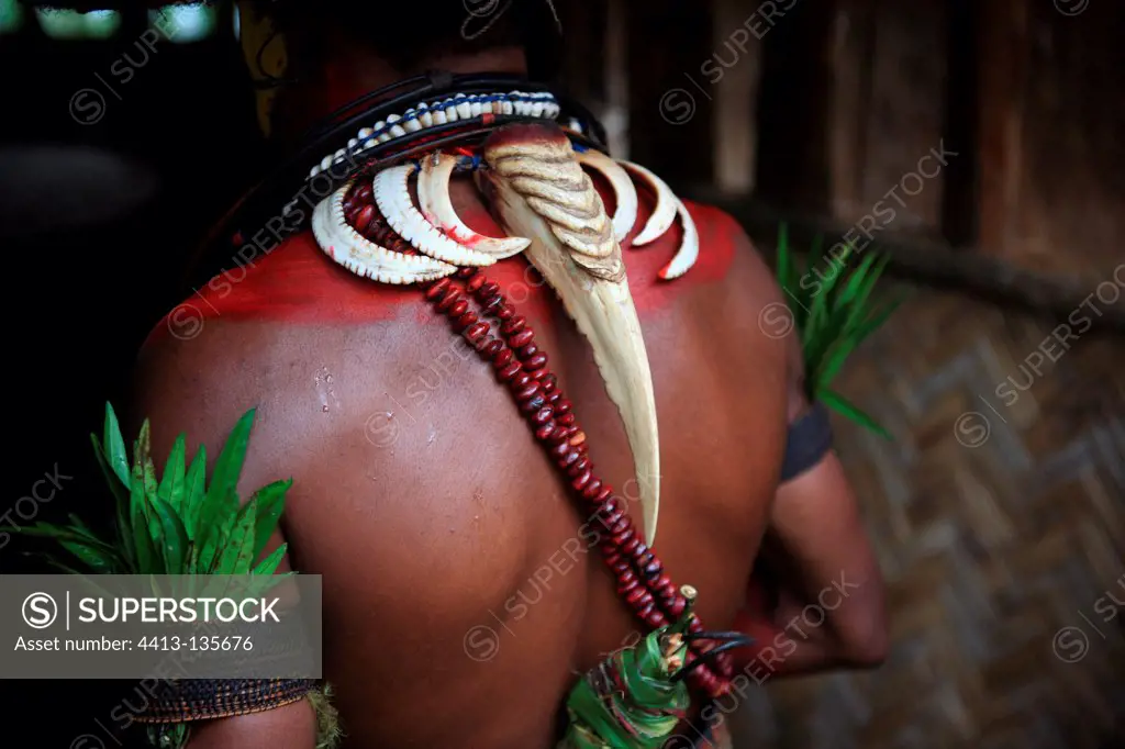 Huli man wearing a hornbill beak Papua New-Guinea