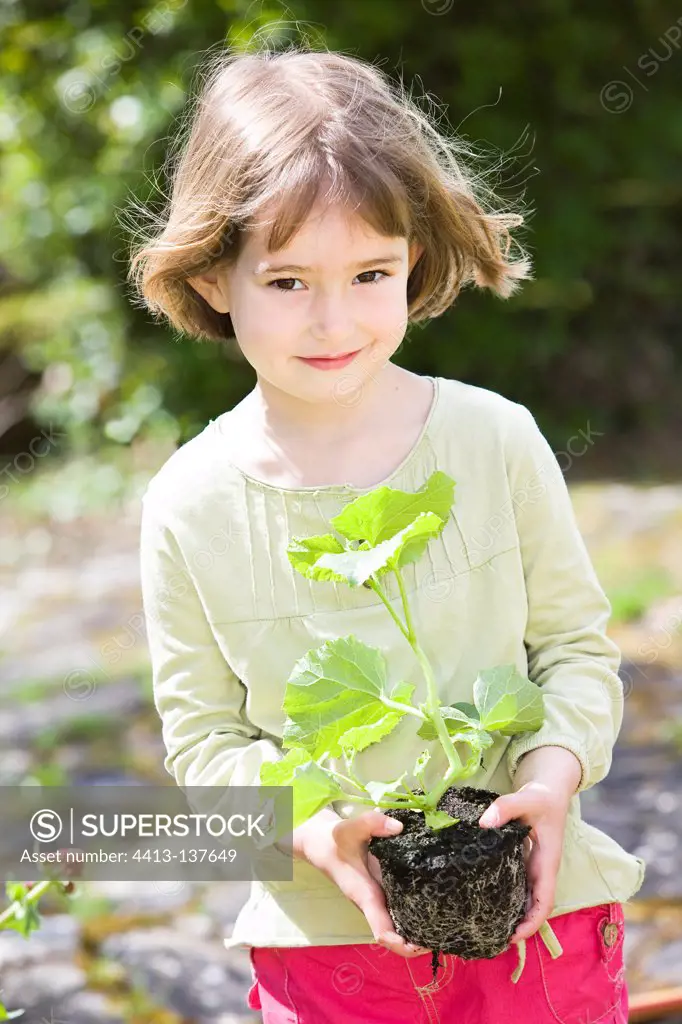Girl holding in her hands a plant Melon