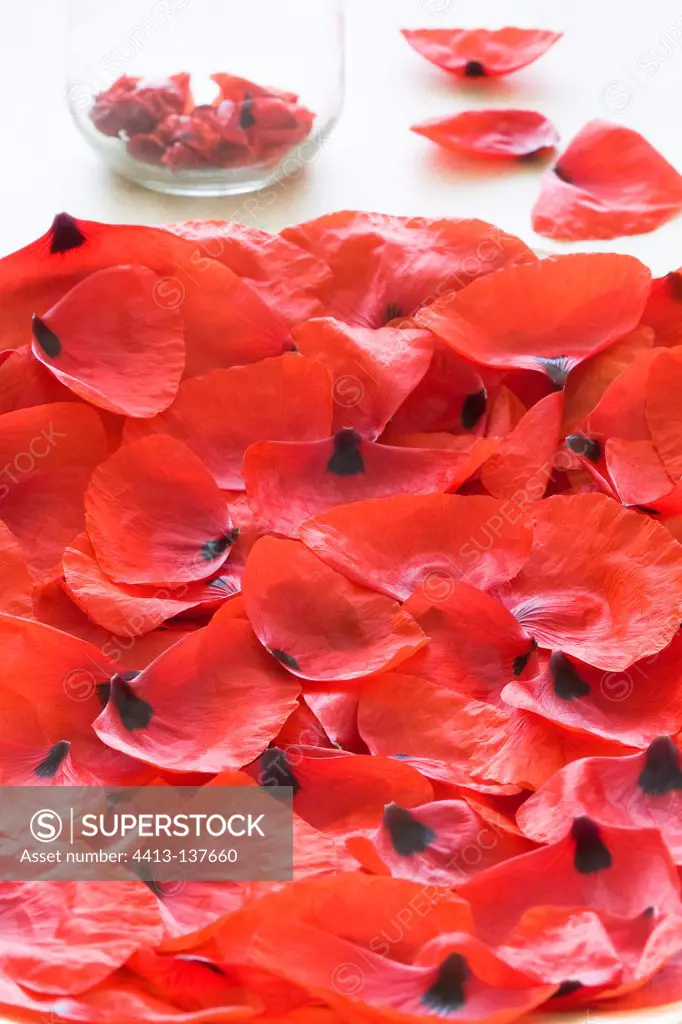 Poppy petals that dry in a wooden plate