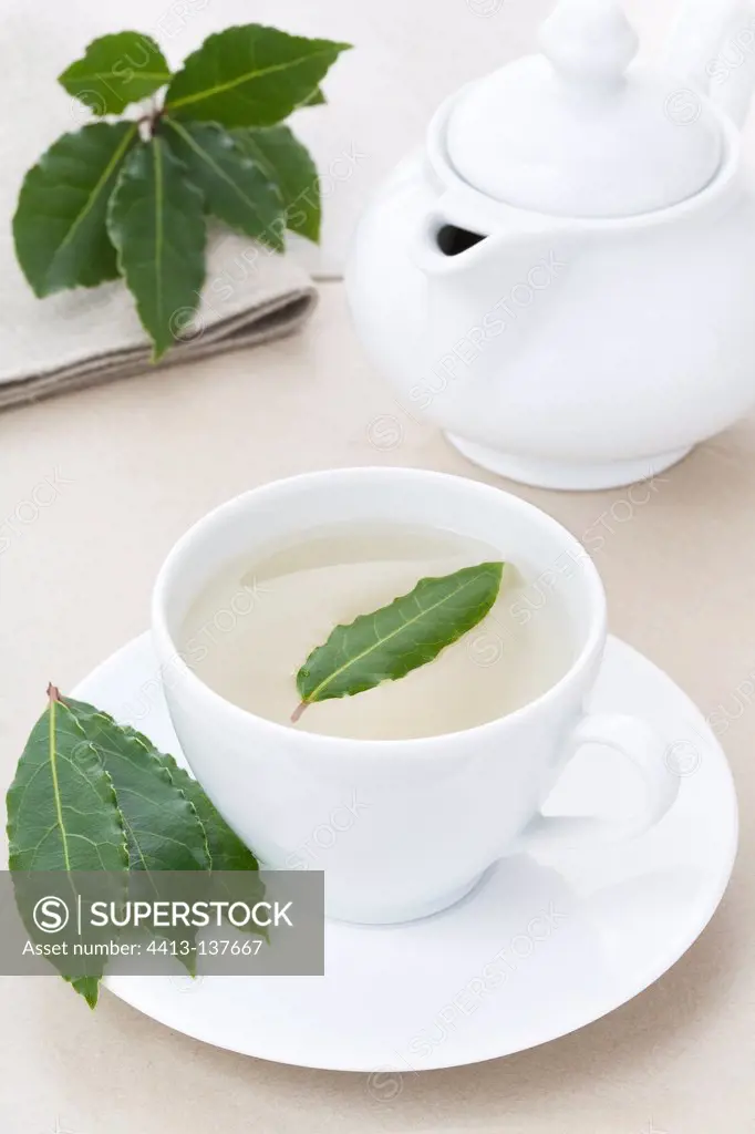 Tea leaf in a white cup