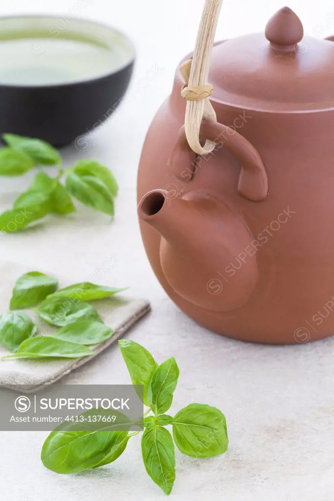 Basil leaf tea in a cup