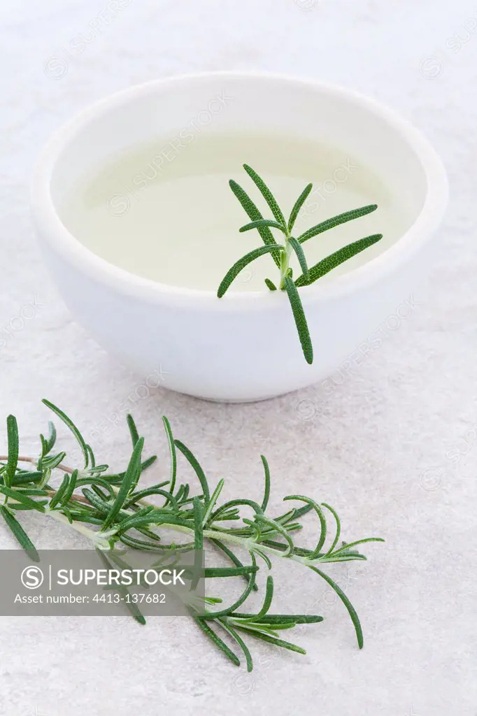 Rosemary tea in a white bowl