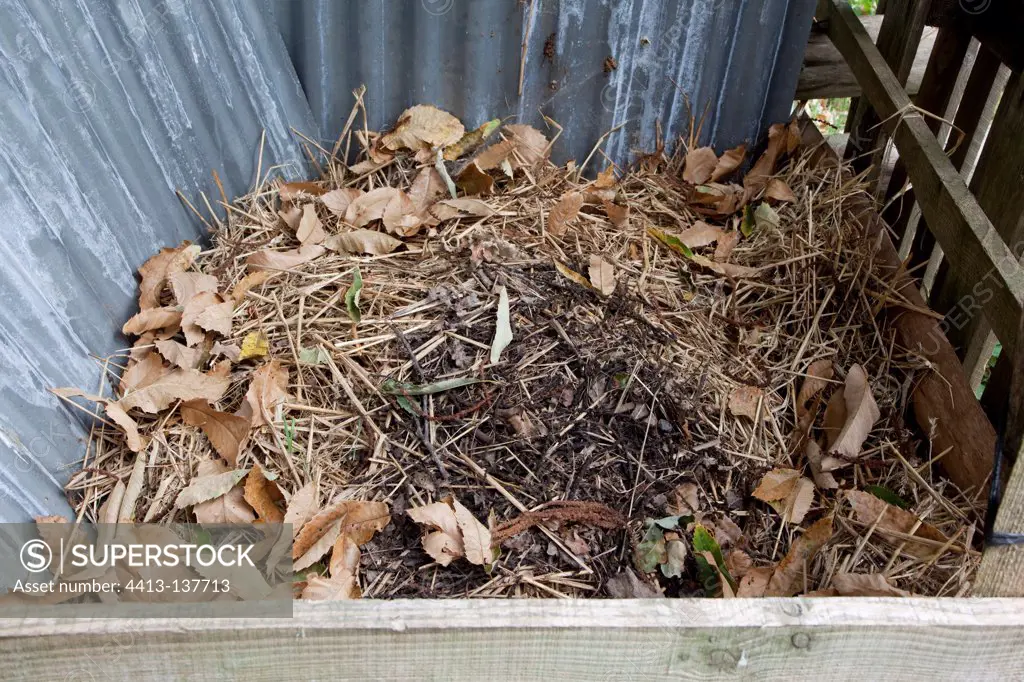 Dry-pit and leaves compost in an organic garden