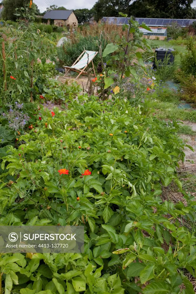 Deckchair in an organic kitchen garden