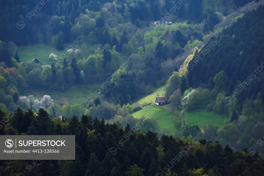 Skylight at Hilsen Munster Valley Vosges France