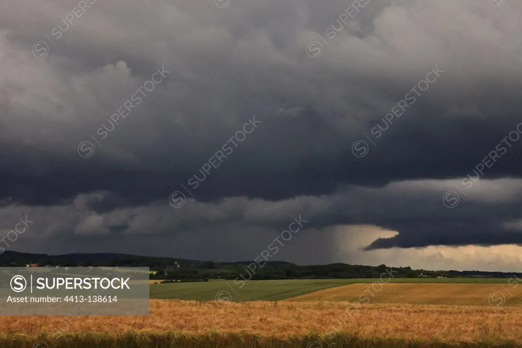 Wheat fields under stormy sky in Berry region France