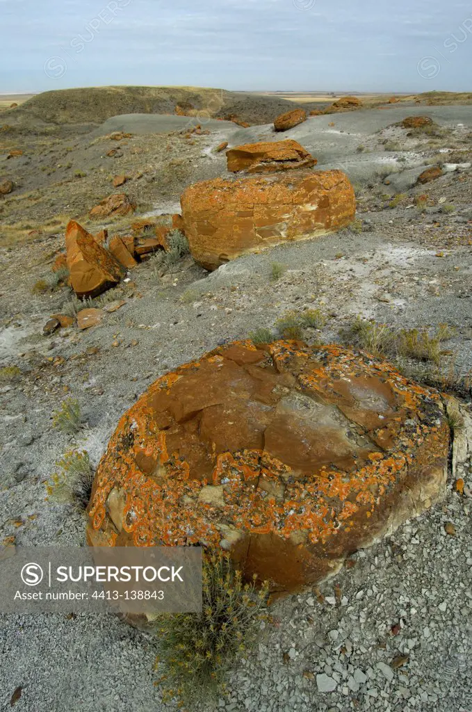 Sandstone concretion boulder of Red Rock Coulee Canada
