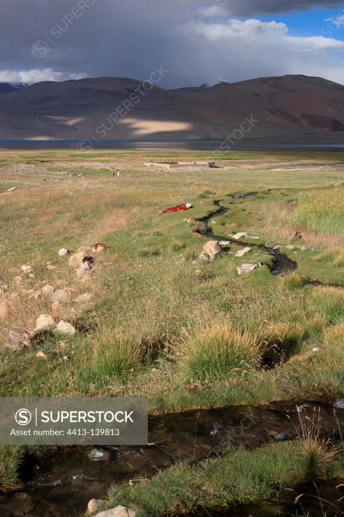 People resting Lake Tso Moriri Ladakh Himalayas India