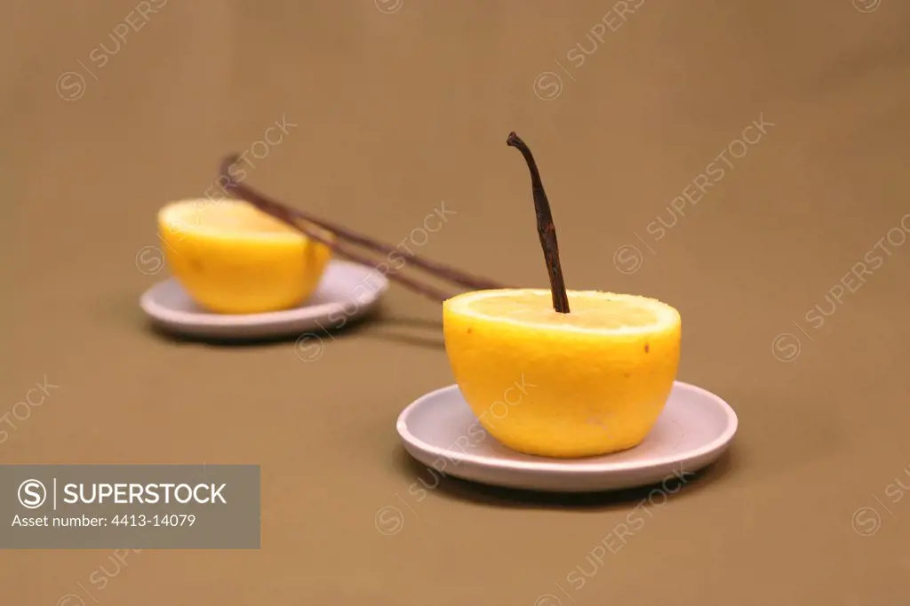 Vanilla pod pricked in a lemon