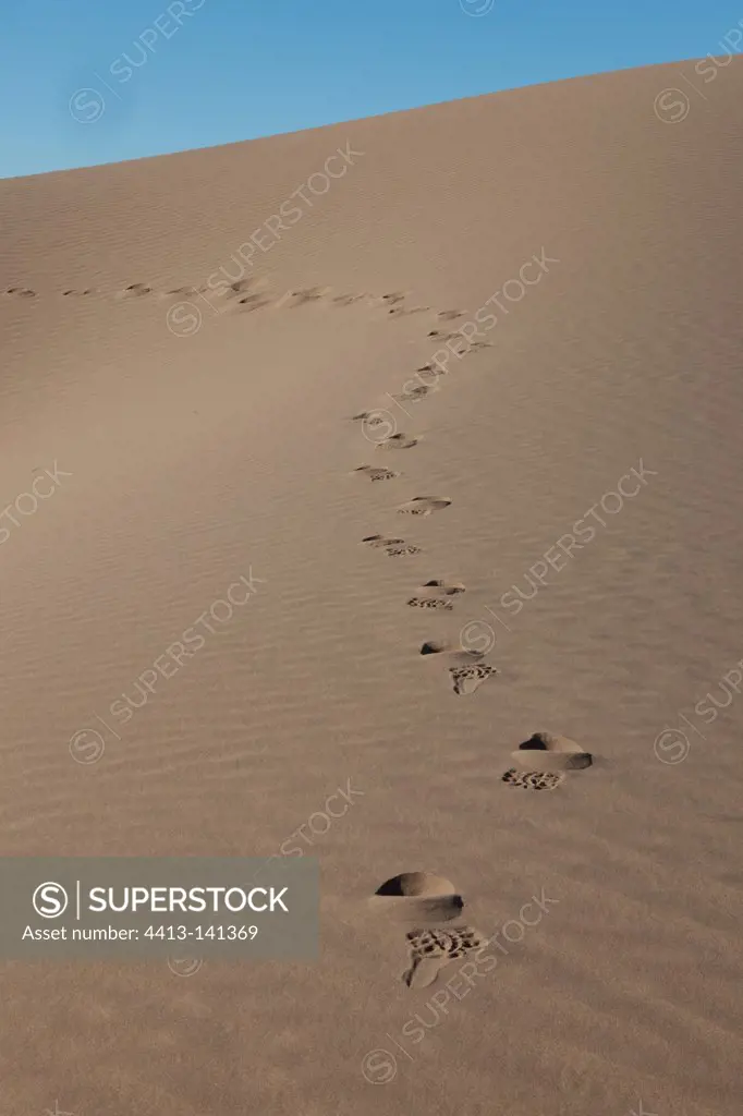 Footprints of man in the sand Draa Valley in Morocco