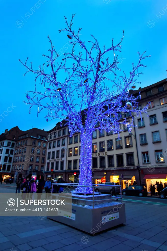 Christmas tree lit in Strasbourg Alsace France