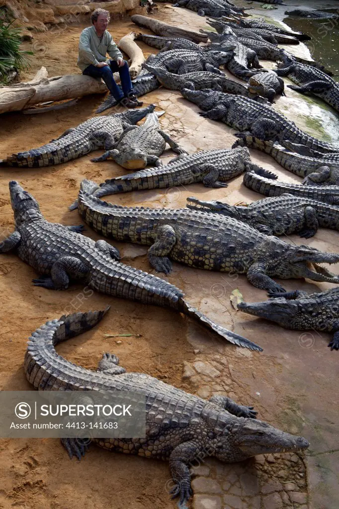 Luc Fougeirol sat with Crocodiles Crocodile Farm France