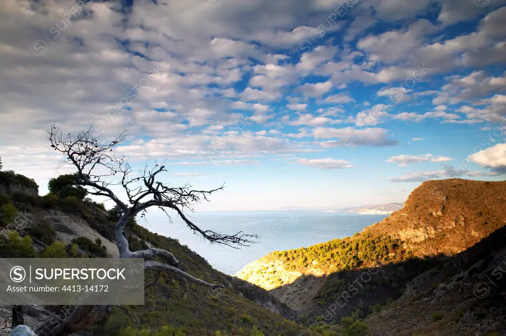 Landscape of the natural park of Maro Cerro Gordo Spain