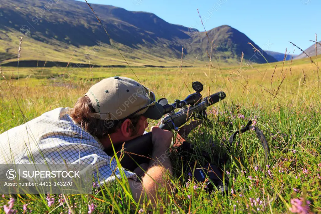 Sika deer hunting on private property in Scotland
