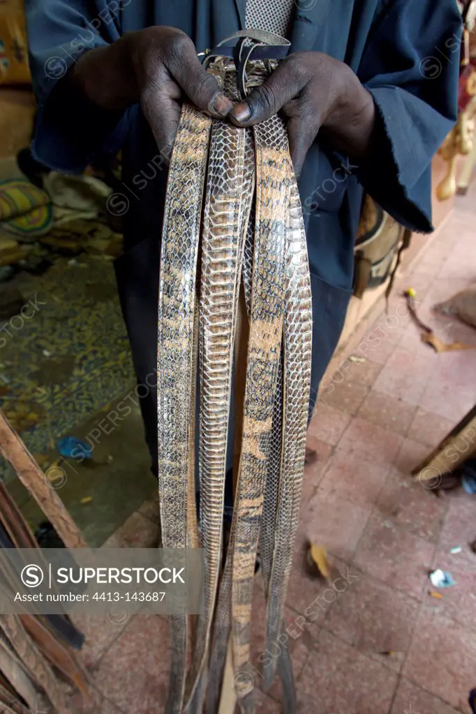 Articles snakeskin on a stall Bamako Mali