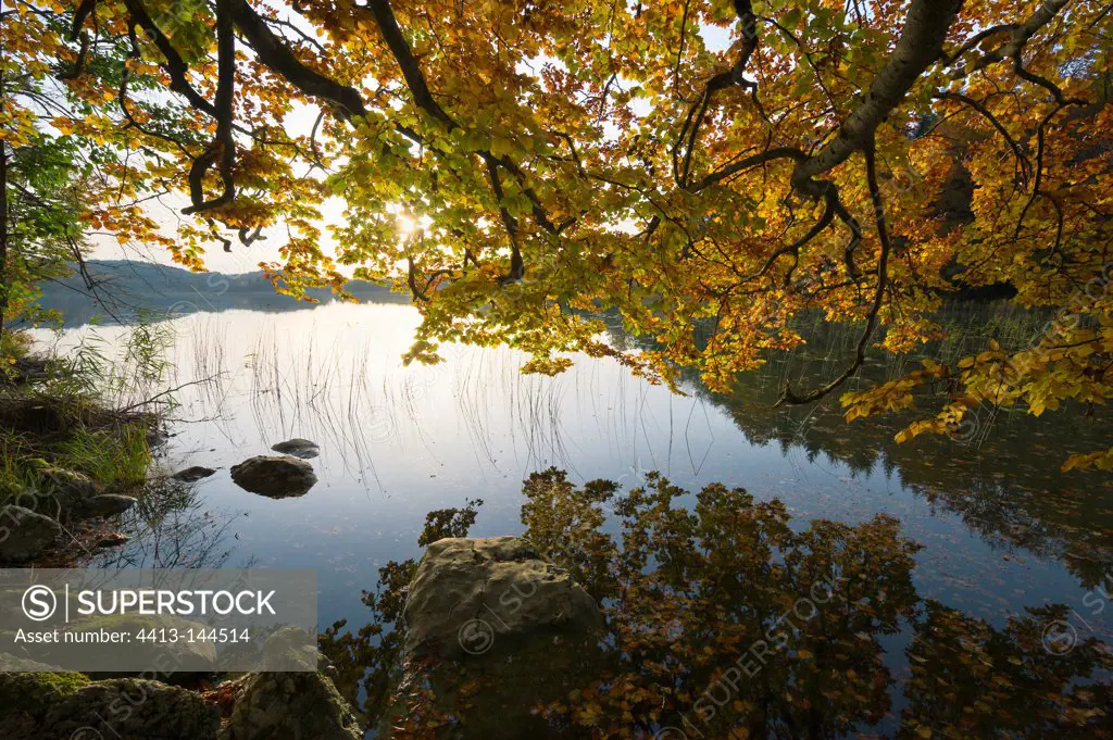 Grand Maclu Lake in fall Jura France