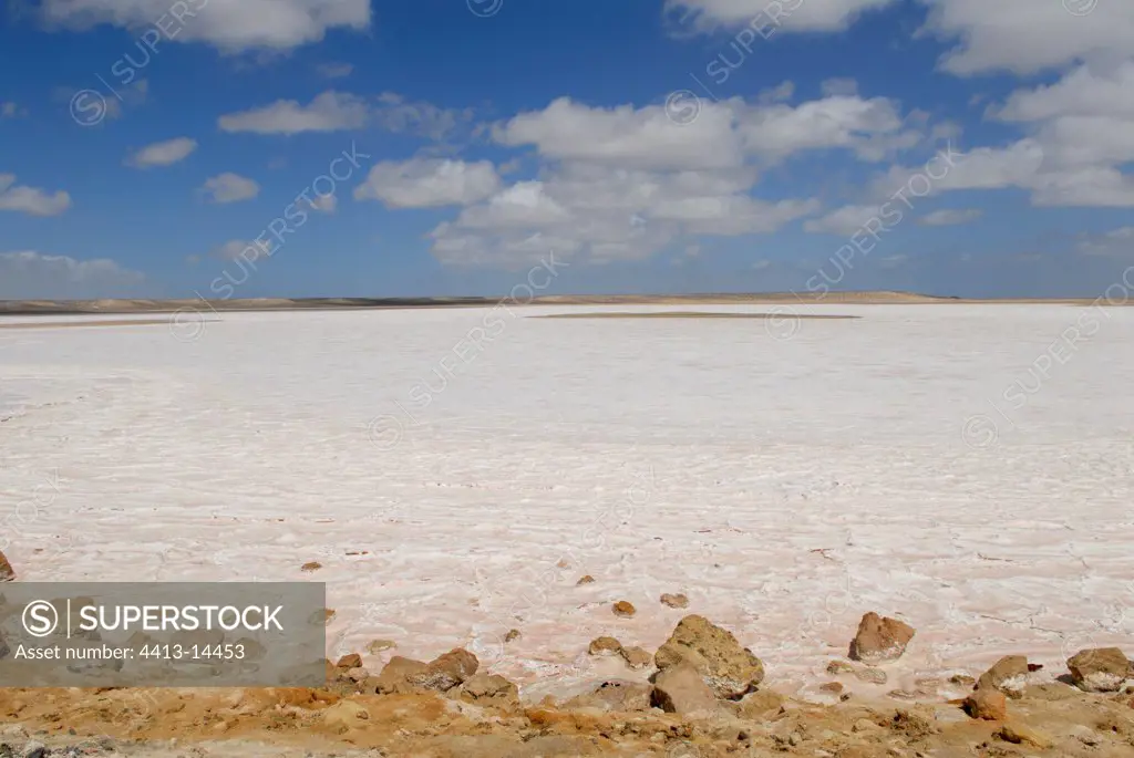 Saltworks in the desert of Vizcaino