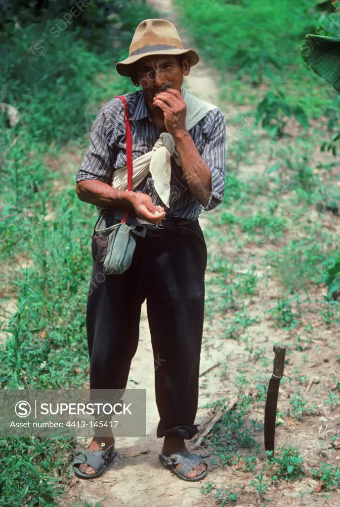 Peasant Coca farmer chewing coca leaves as a stimulant