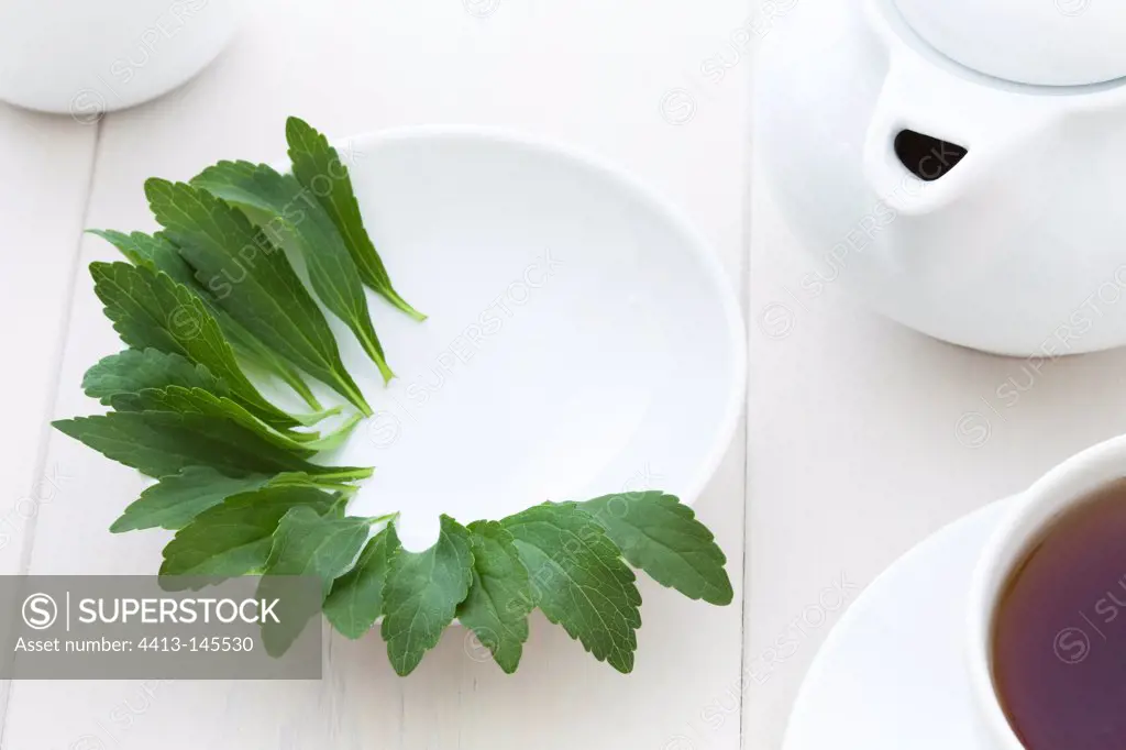 Leaves of Stevia in a dish and teapot