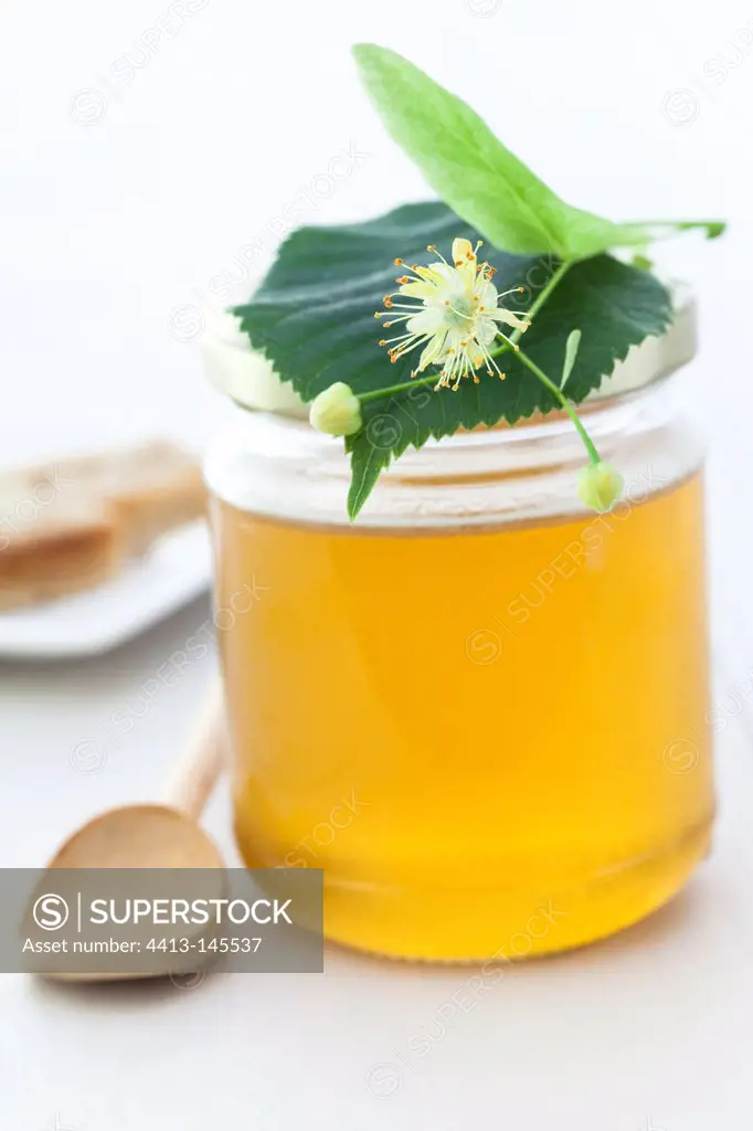Pot of linden honey and linden flower