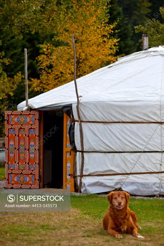 Yurt from Mongolia