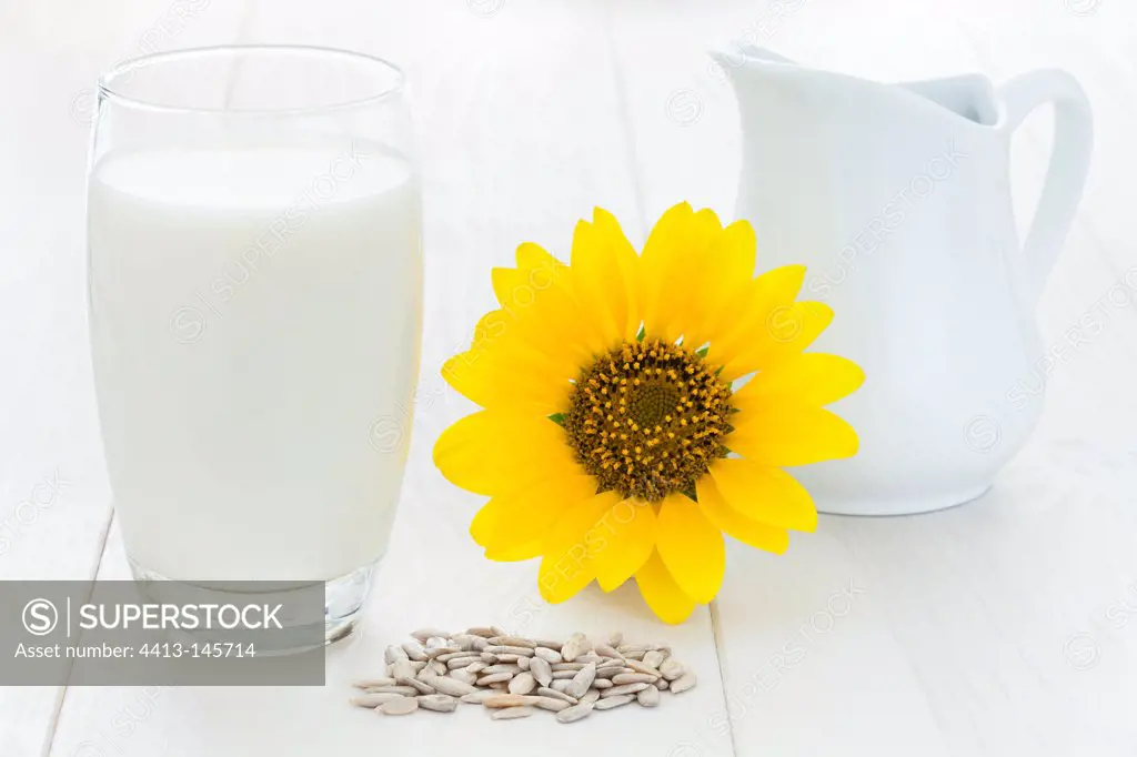 Sunflower seed milk and flower