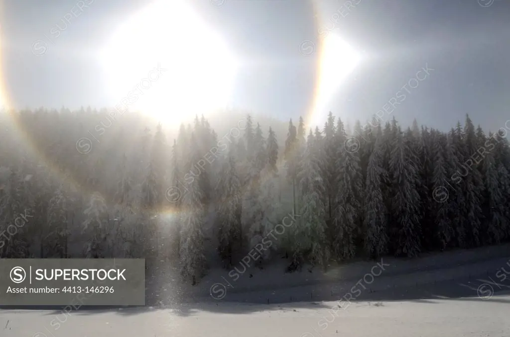 Bright halo above a snowy forest Vosges France
