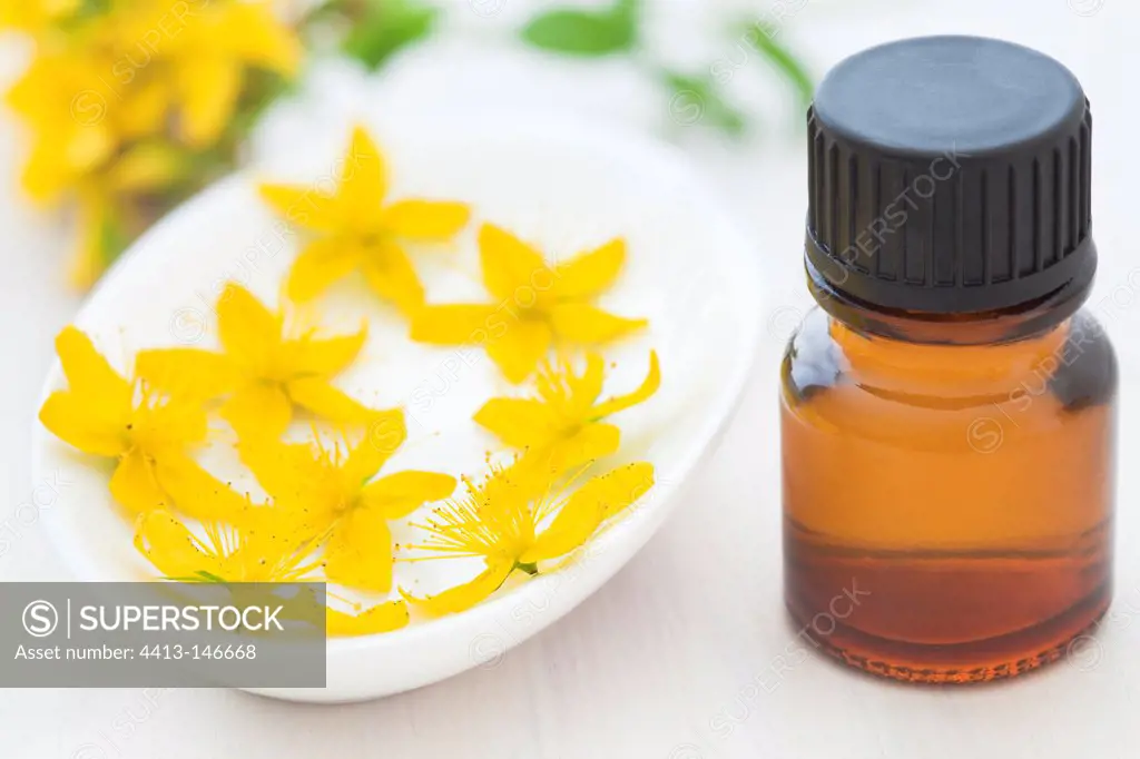 Common Saint Johnswort essential oil and flowers