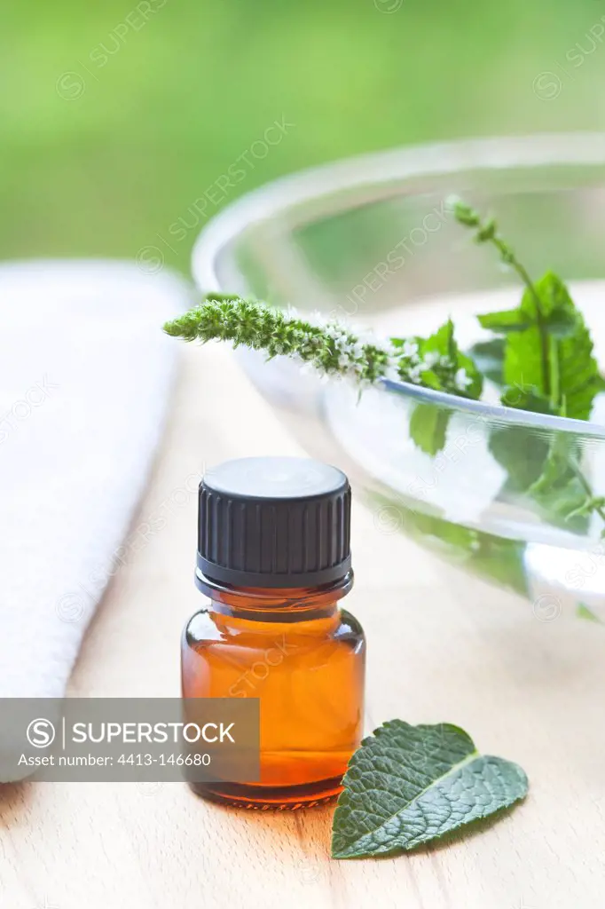 Mint essential oil and flower