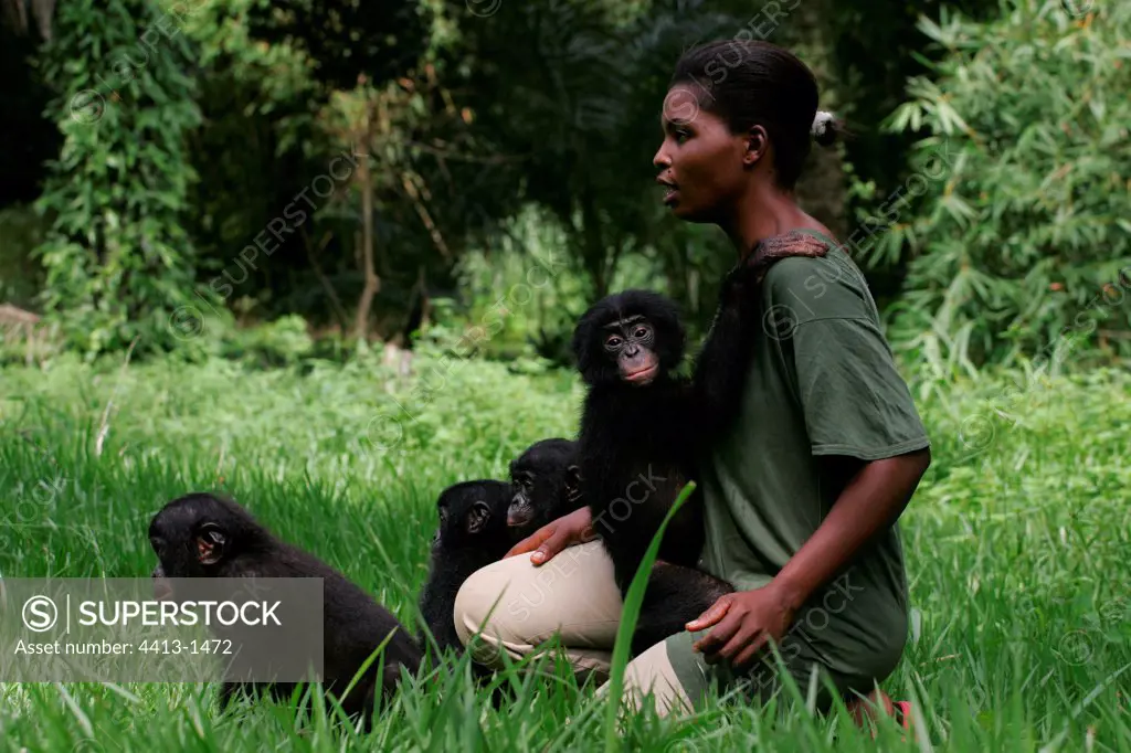 Mom of substitution and Bonobos Democratic Republic of Congo