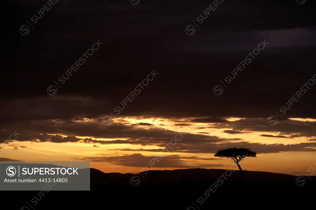 Sunrise on Masaï Mara reserve Kenya