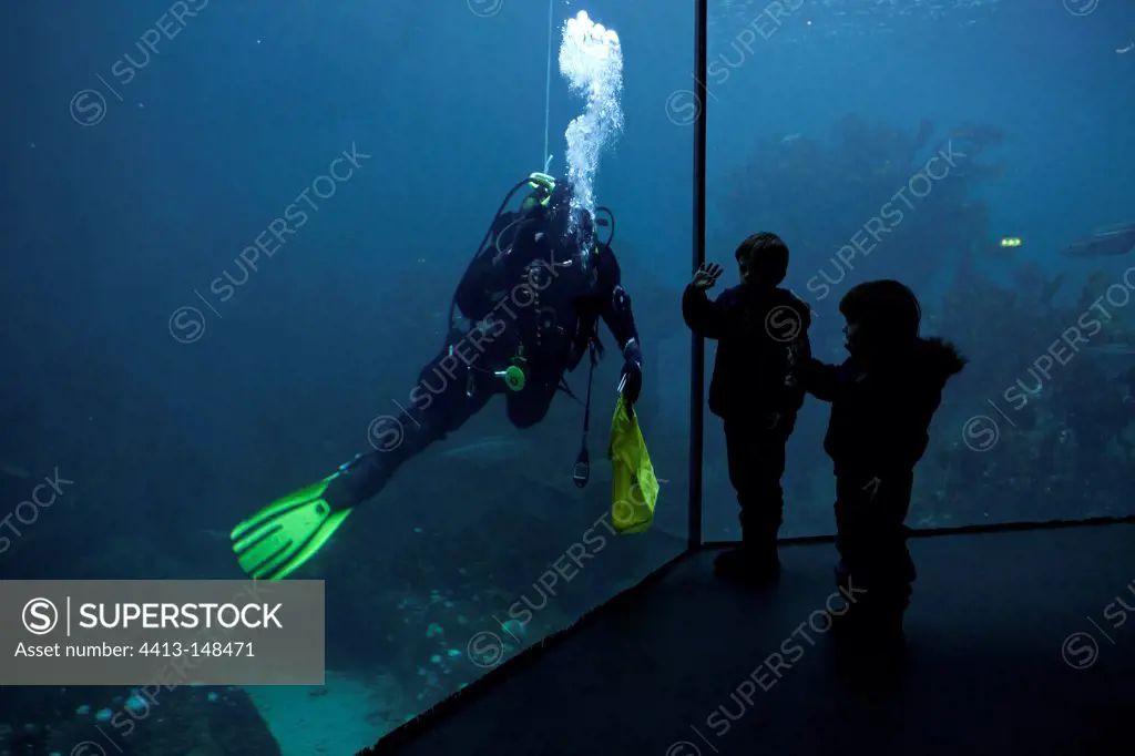 Children watching a diver inside the Atlantic ocean aquarium