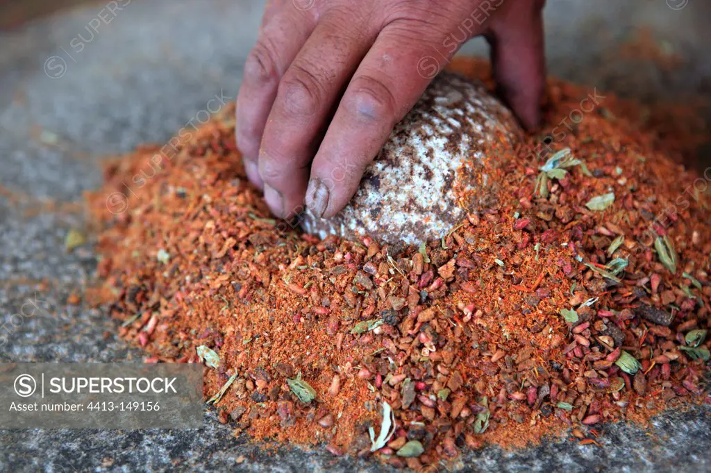 Man grinding a mixture of seeds and spices India