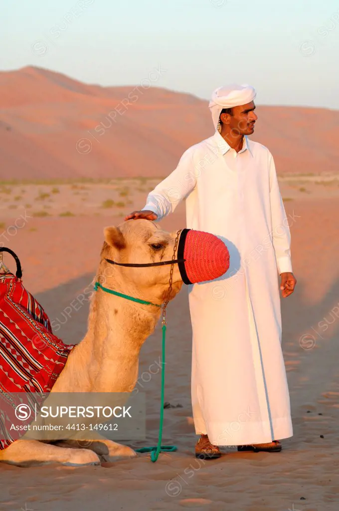 Camel man and camel with a muzzle Abu Dhabi