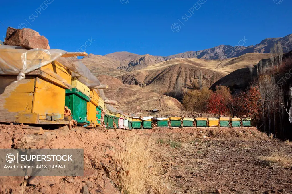 Hives in the mountains Alamut in Iran