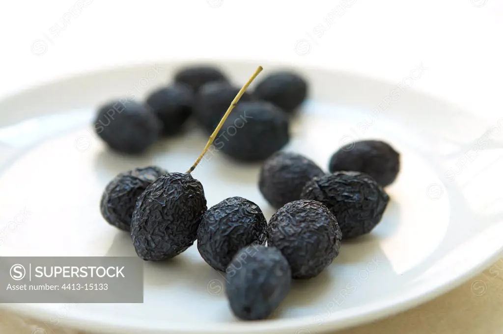 Tanches black Olives of Nyons Provence France