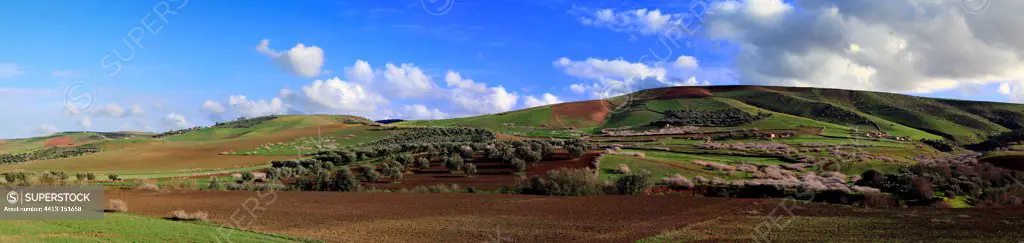 Agricultural landscape in the vicinity of Meknes in Morocco