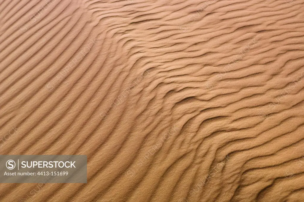 Trace the wind in the sand dunes of Merzouga Morocco