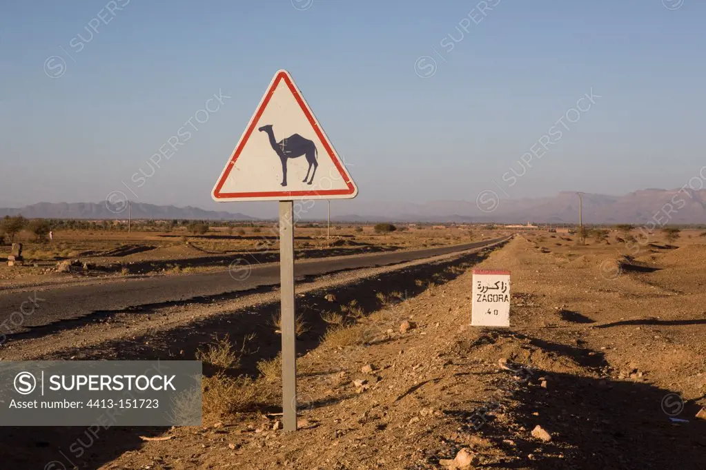 Warning sign indicating Dromedary Morocco
