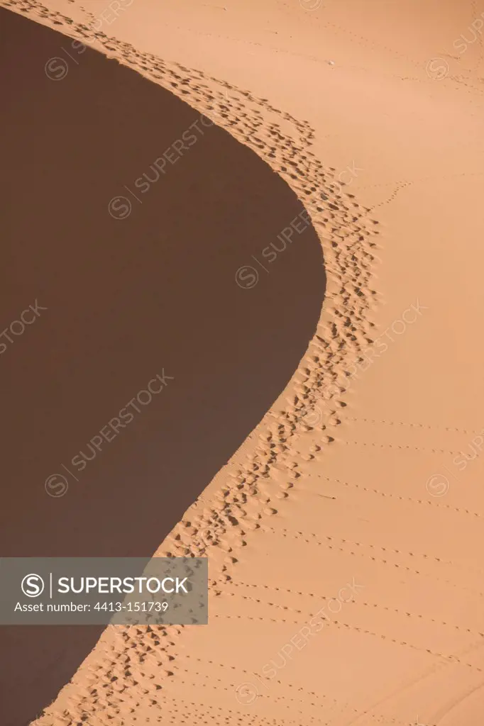 Footprint on the top of the crest of a dune in Morocco
