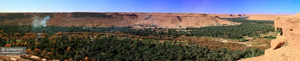 Palmeraie Ziz Valley in the vicinity of Erachidia