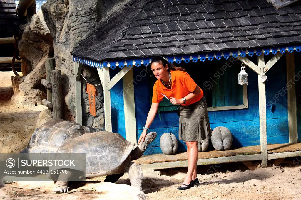 Young woman doing a movie with giant tortoises
